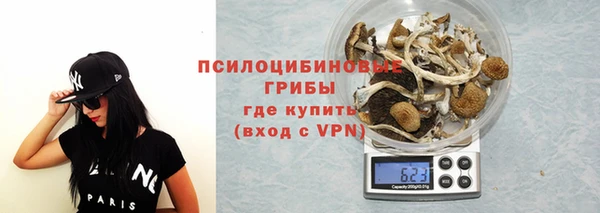 гидра Арсеньев
