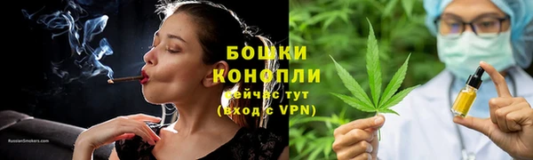 гидра Арсеньев
