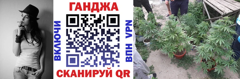 Марихуана сатива  продажа наркотиков  Ханты-Мансийск 